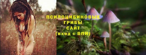 MDMA Аркадак