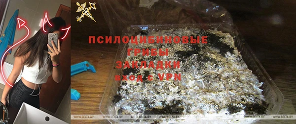 крисы Армянск