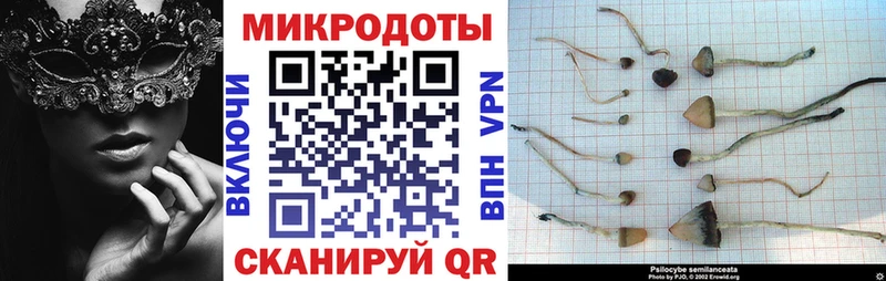 Галлюциногенные грибы Cubensis  Балей 